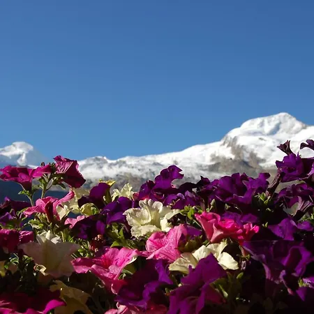 Swiss