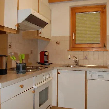 Swiss 公寓 萨斯费